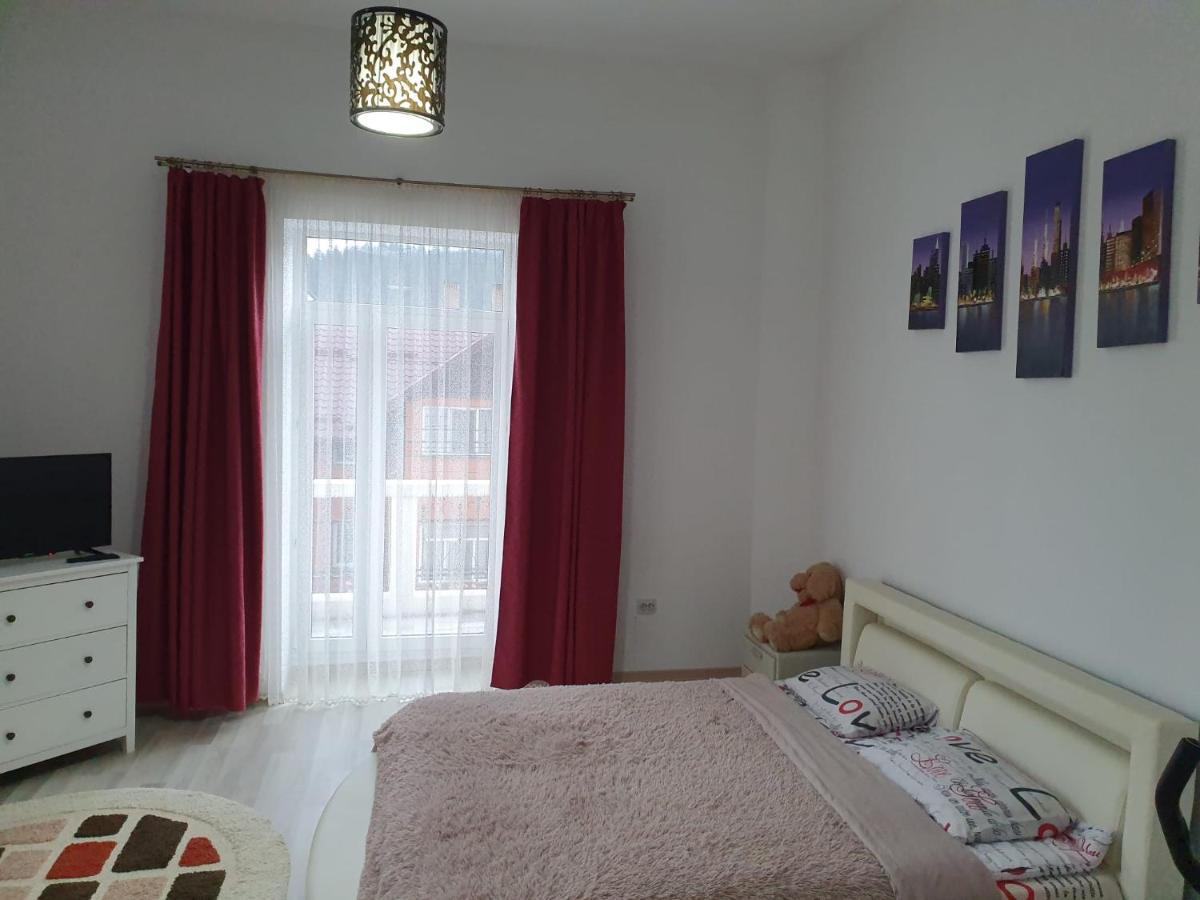 Villa Coca Câmpulung Moldovenesc Εξωτερικό φωτογραφία