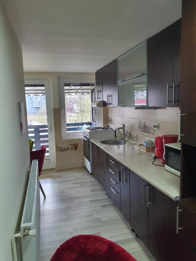 Villa Coca Câmpulung Moldovenesc Εξωτερικό φωτογραφία