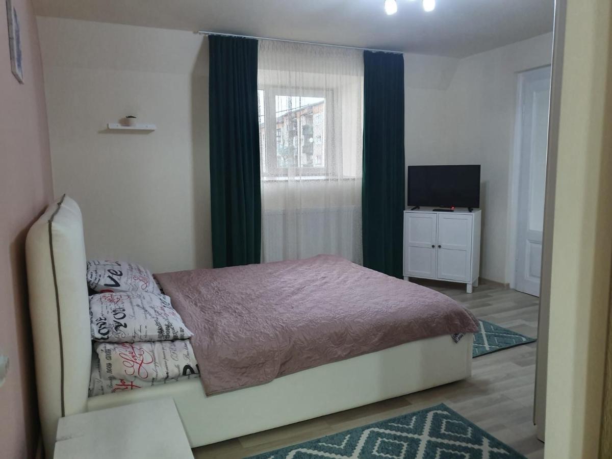 Villa Coca Câmpulung Moldovenesc Εξωτερικό φωτογραφία