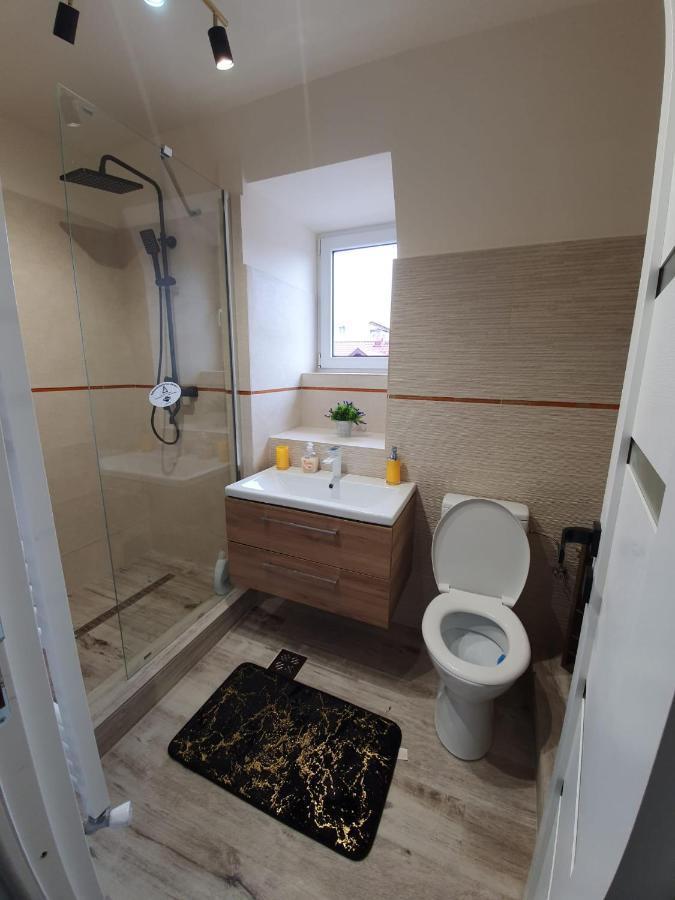 Villa Coca Câmpulung Moldovenesc Εξωτερικό φωτογραφία